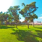 Paraiso Bloco B * 포티마오